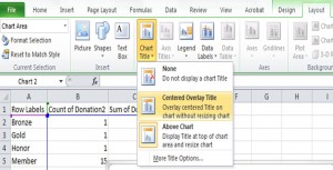 Fred Pryor Seminars_Add_Title_to_Excel_Chart_figure3