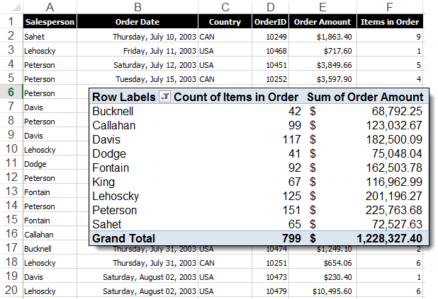 How to Create a PivotTable Calculated Field in Excel - Image 1