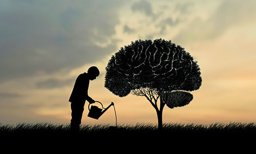 How to Develop a Growth Mindset: Learn, Grow, Adapt