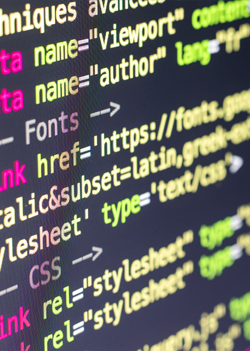 HTML: Beyond the Basics image number 0